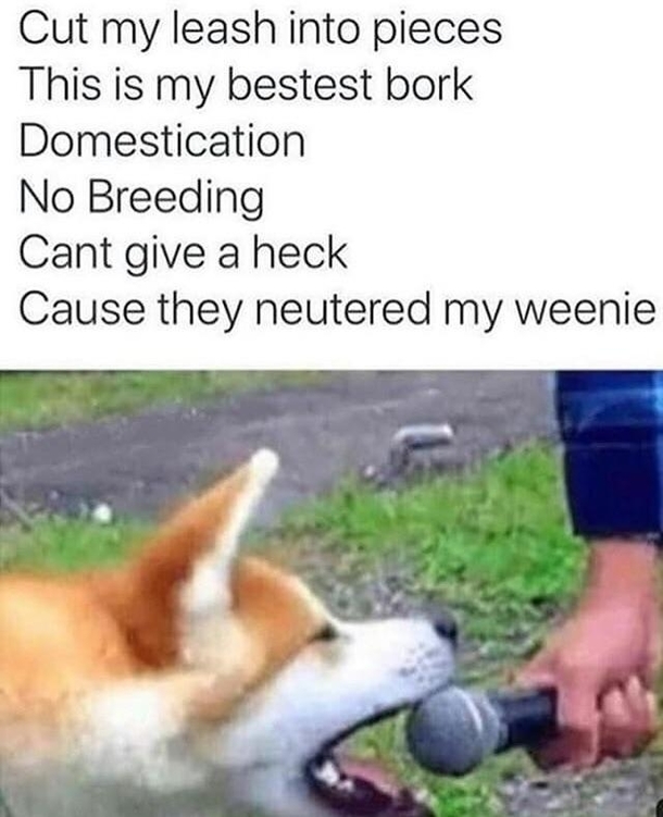 Bork