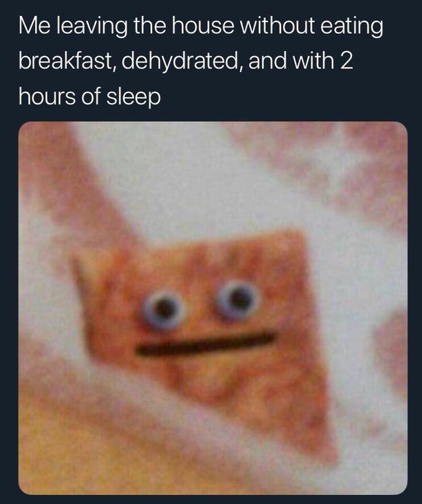 Botooototototot