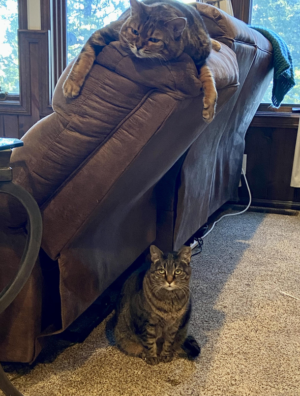  Bottom one is wondering if that couch is gonna hold