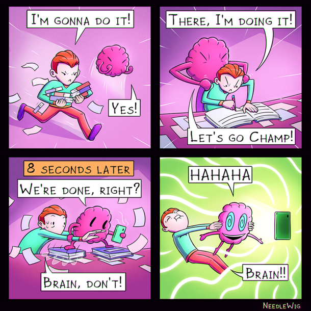 Brain