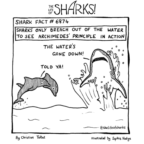 Breach
