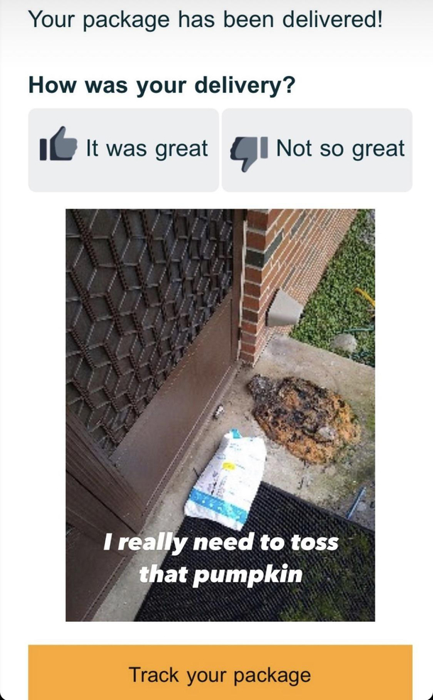 Bro
