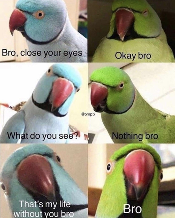 Brrrooooo