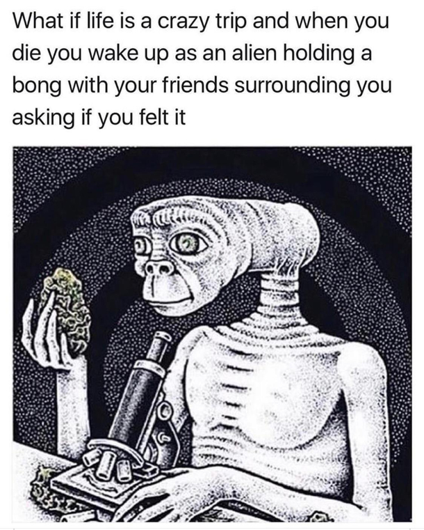 Bruh