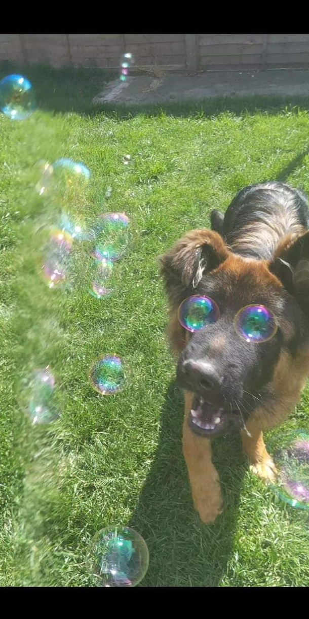 Bubblevision