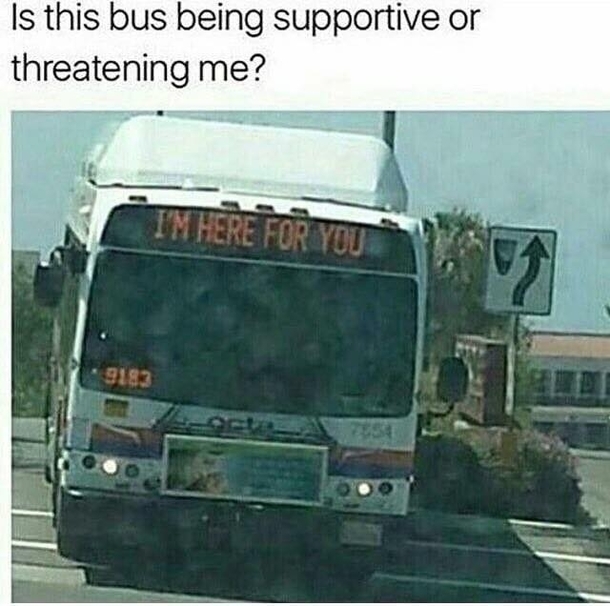 Bus