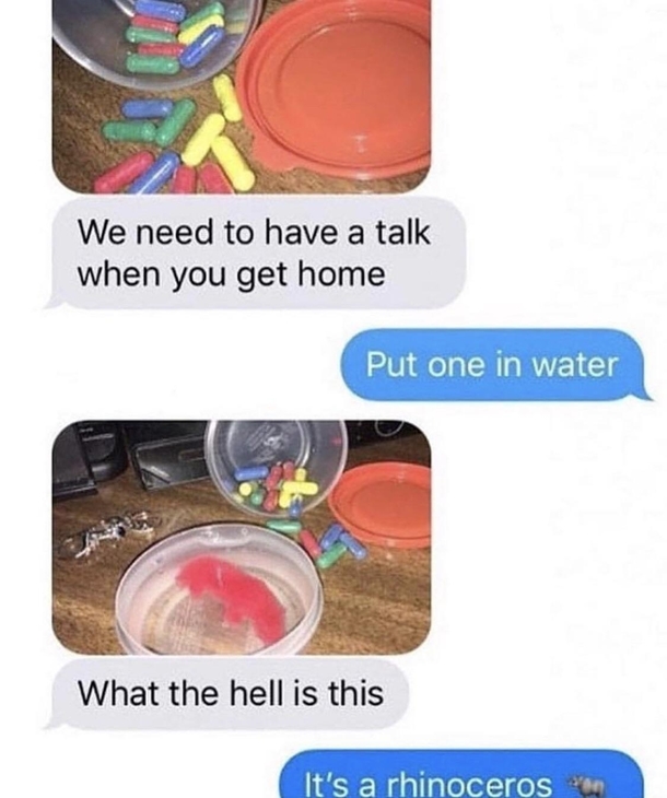 Busted
