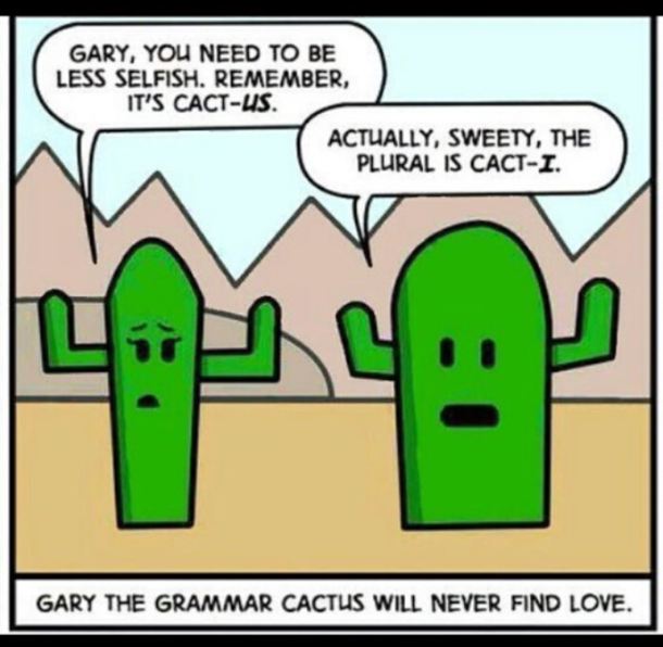 Cacti