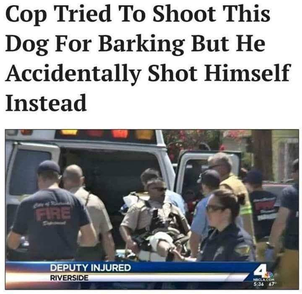 caninelivesmatter