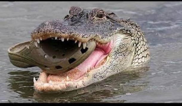 Cannibalism