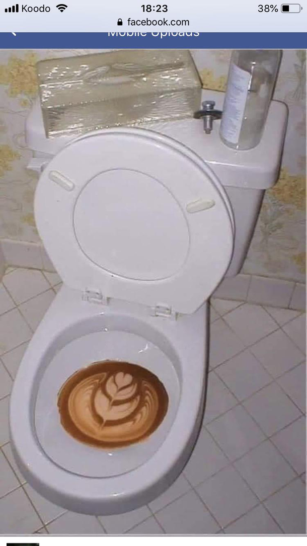 Cappushito