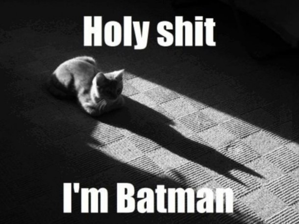 Catman