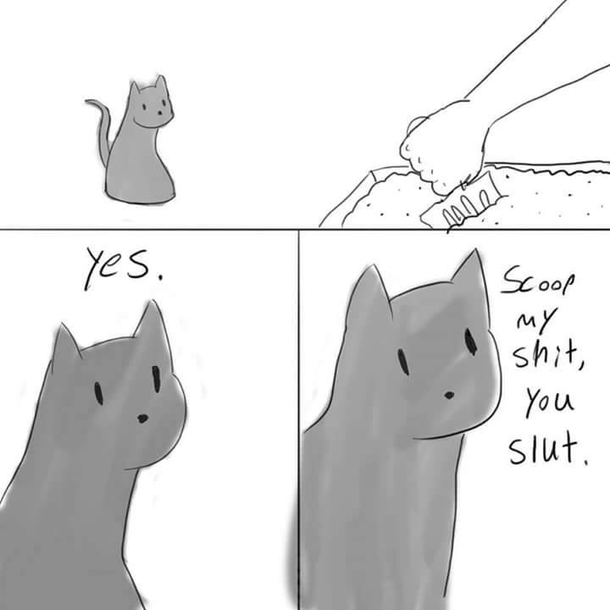 Cats