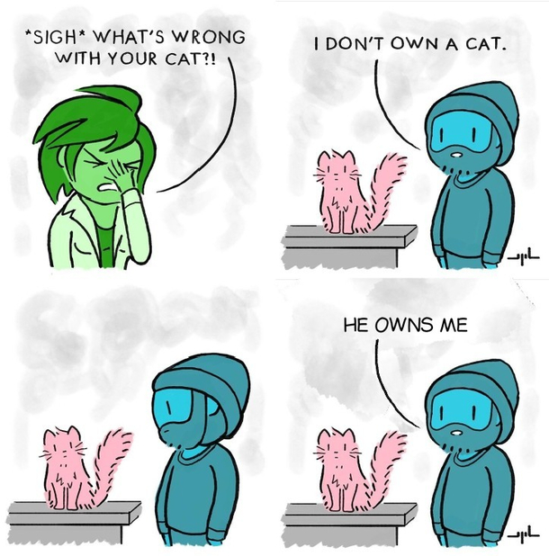 Cats