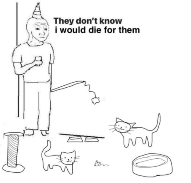 Cats