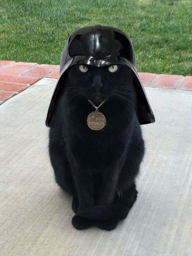 CatVader