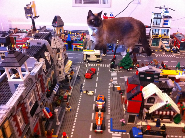 Catzilla