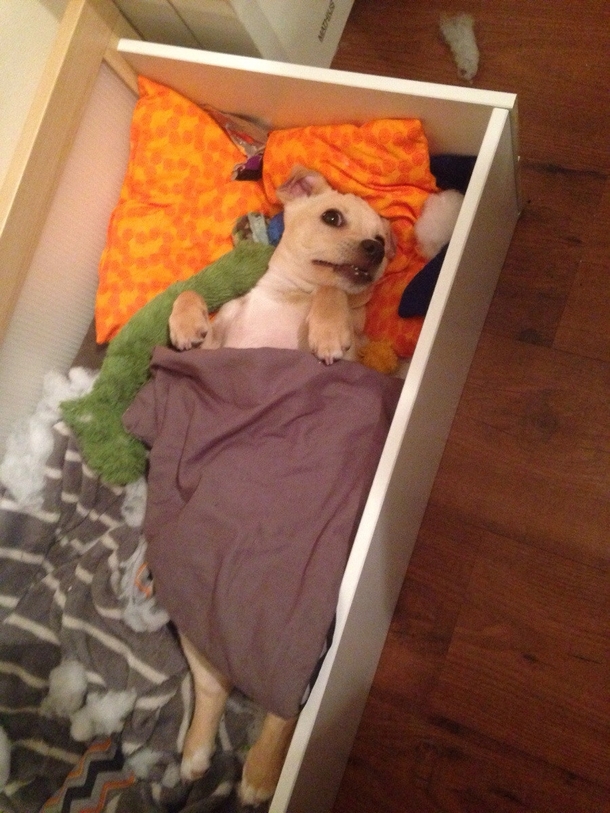 Caught
