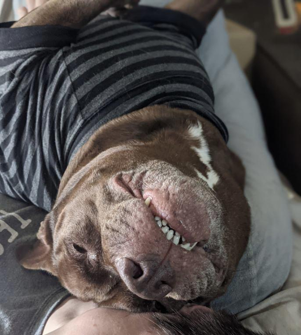 Cheeeeeeeeeese