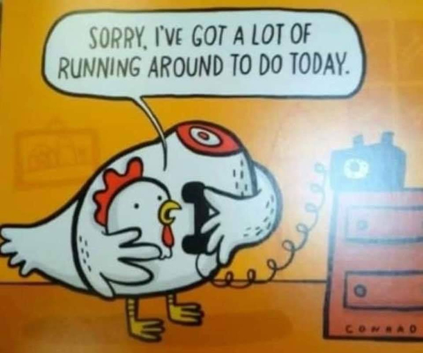 Chicken