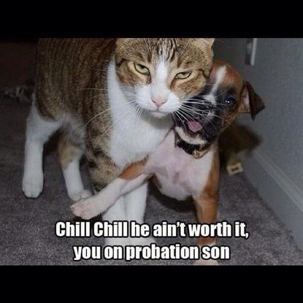 Chill