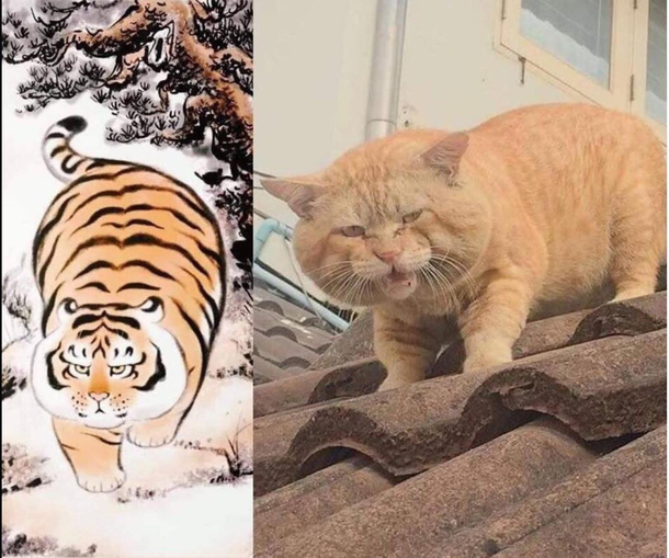 CHONKS