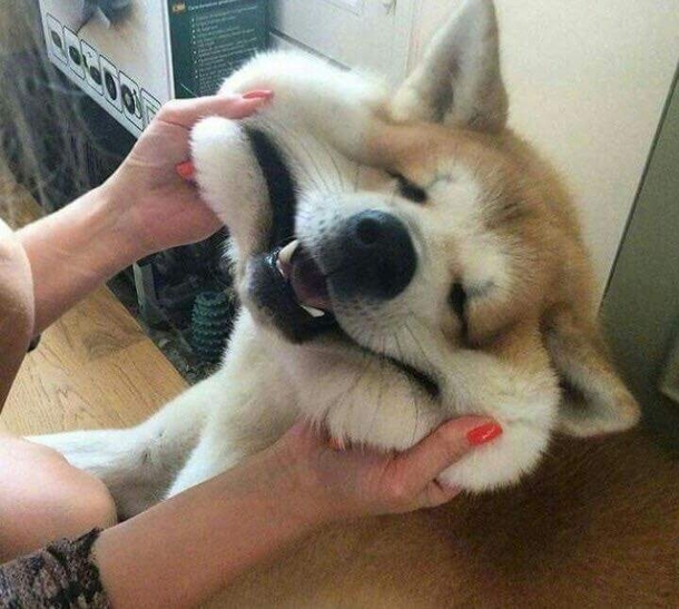 Chubby