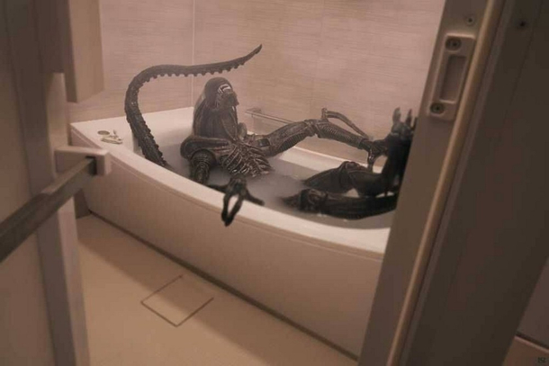 Cleanomorph