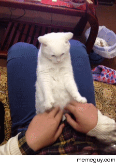 Concentration