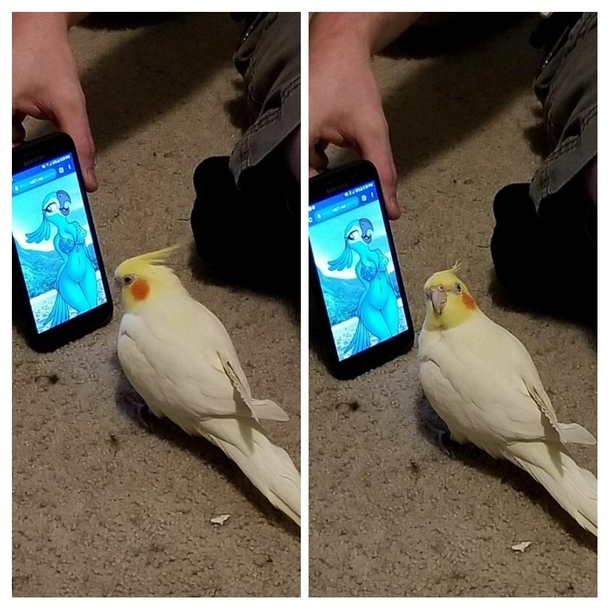 CONCERN