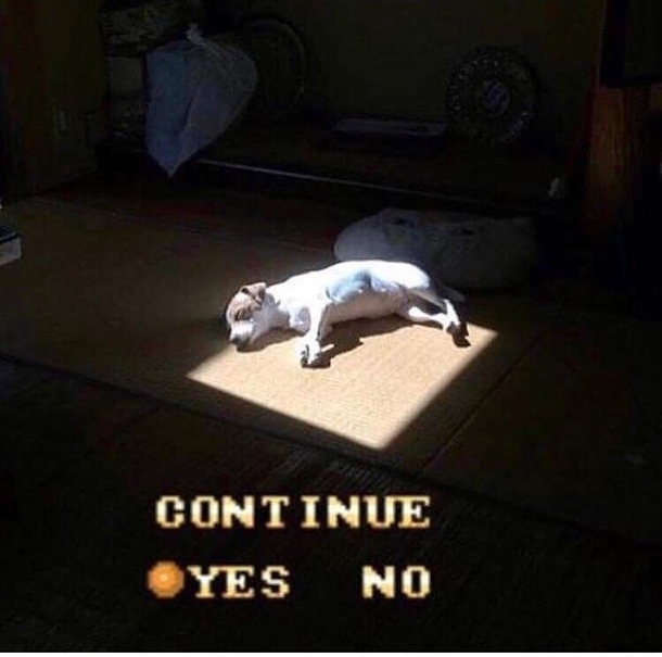 Continue