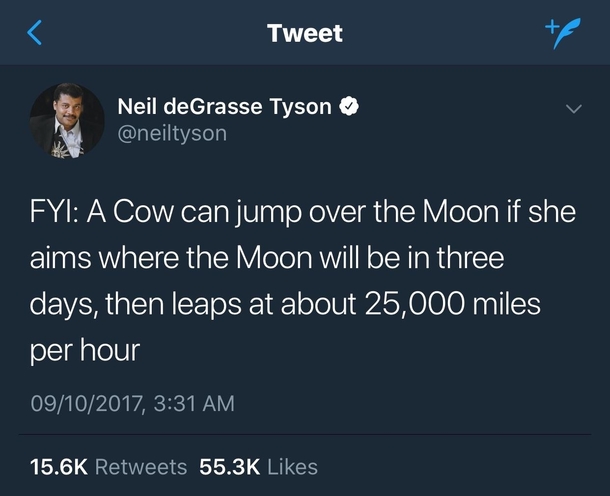 Cows