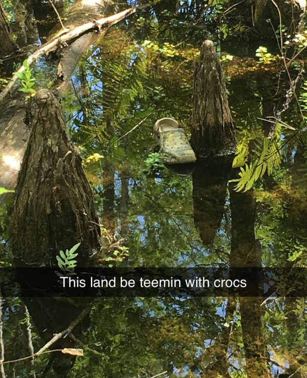 Crikey