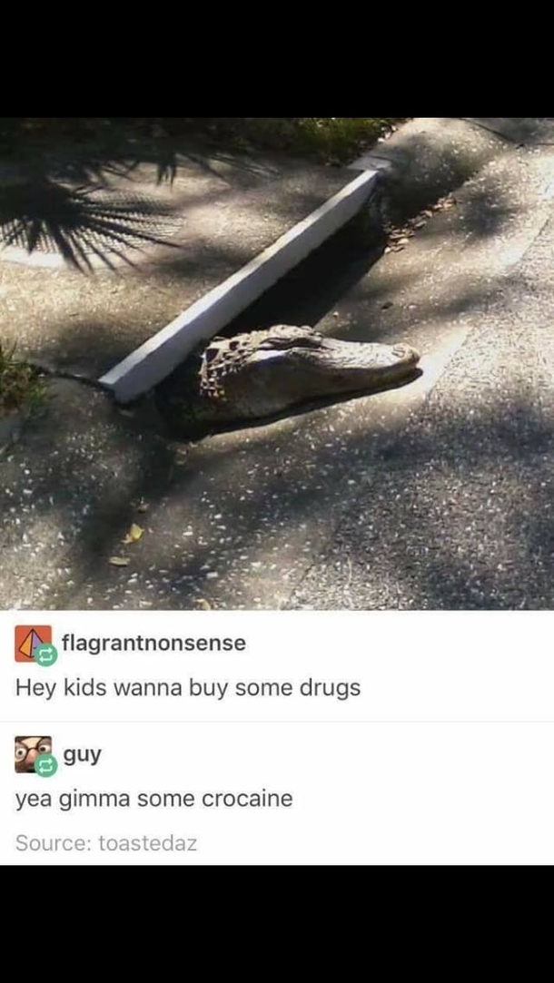 Croc