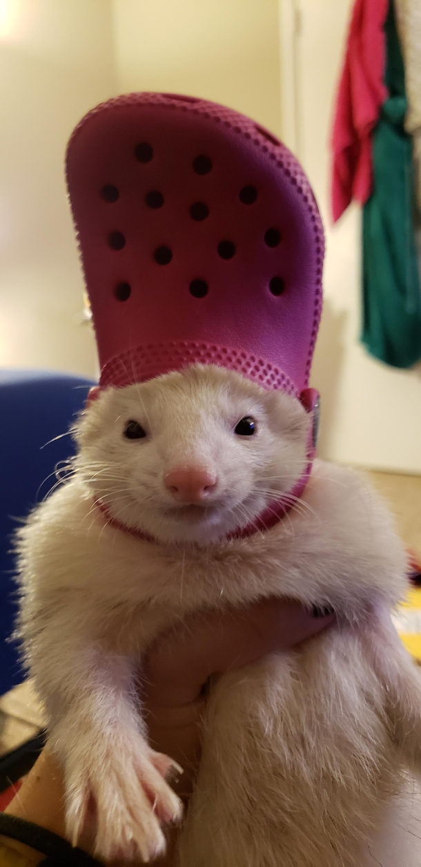 CROCS