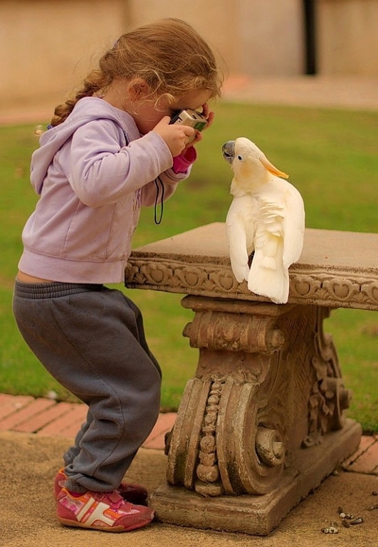 Cute