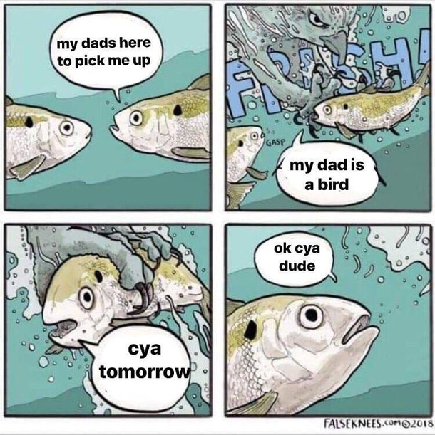 cya
