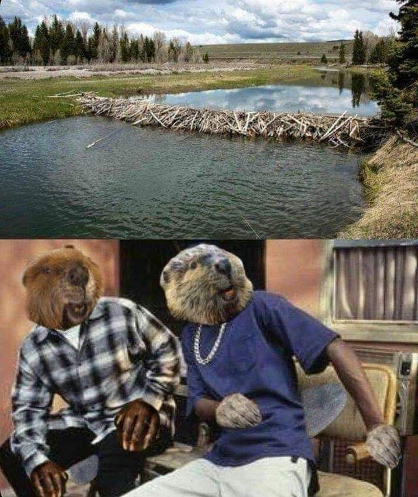 Daaammmm