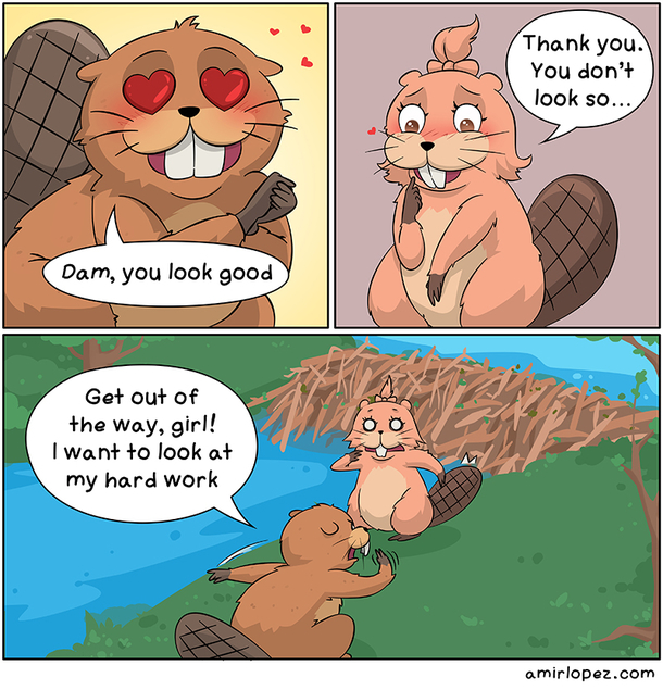 Dam