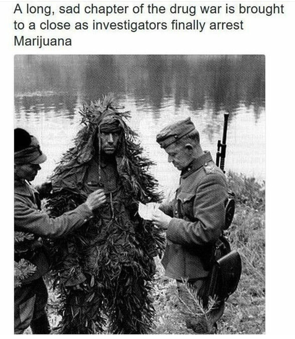Damn