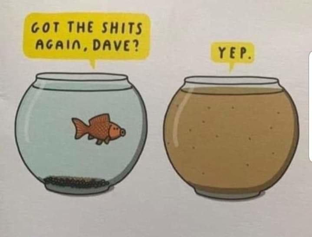 Dave