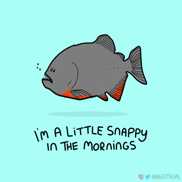  day  of a ridiculous promise I made to draw a grumpy animal every day grumpy piranha