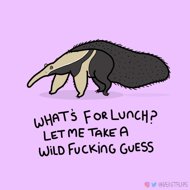  day  of drawing a grumpy animal every day grumpy anteater