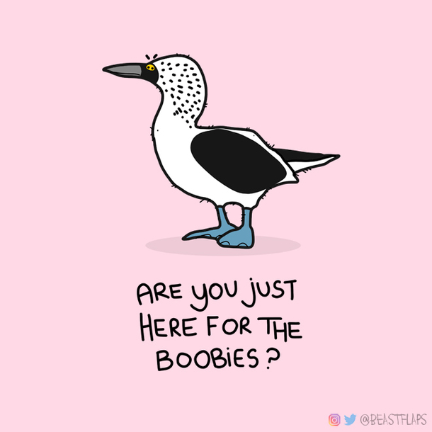  day  of drawing a grumpy animal every single day and I may have accidentally created the perfect shirt
