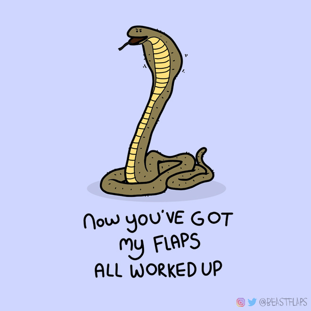  day  of drawing a new grumpy animal every single day