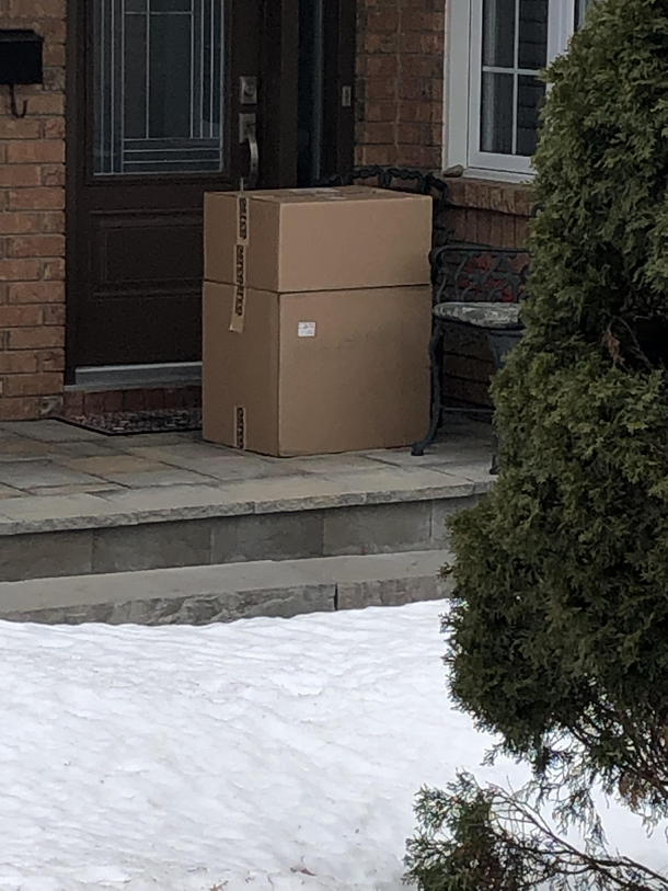  days on my neighbours porch and counting amp they are actually home