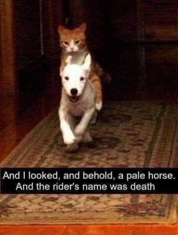  death has come for you