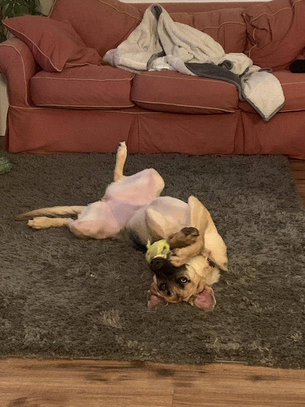 Derp