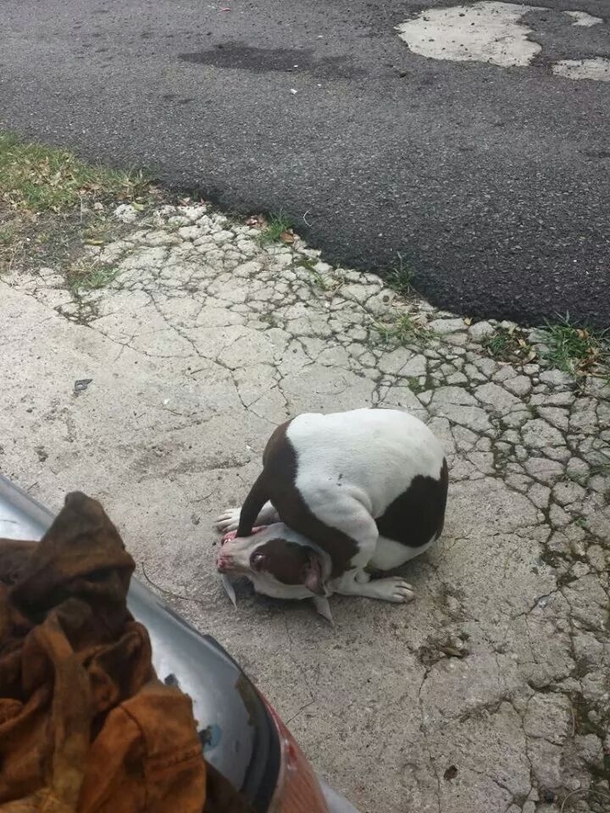 Determination