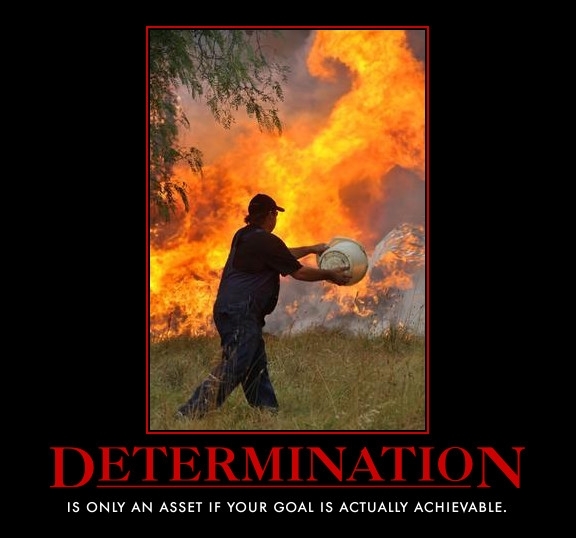 Determination